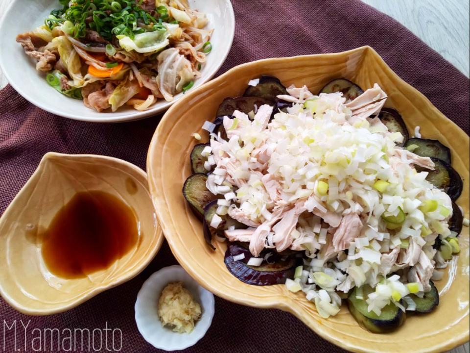 ぷっくりんこ💙➰reiちゃんの焼きナスの茹で鶏と葱のせ🍆子供の頃いちばん好きだったおかず٩꒰｡•◡•｡꒱۶